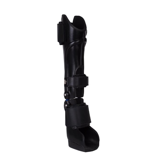 Ortholese custom-made animal carpus orthosis