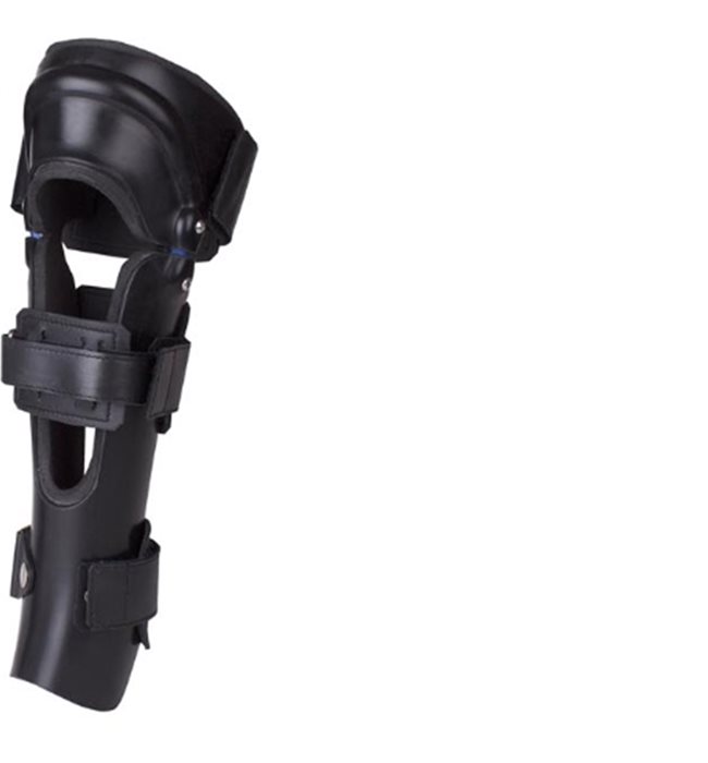 Ortholese custom-made animal stifle orthosis